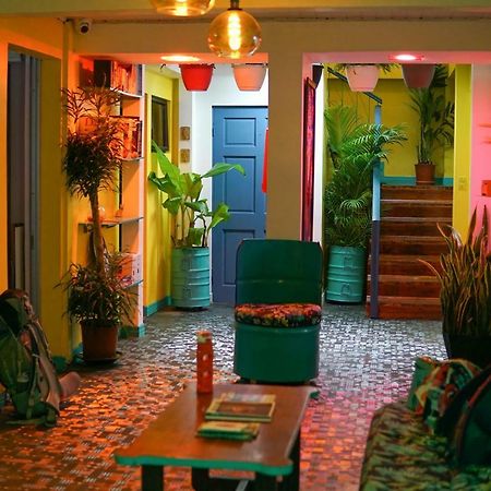 Nativus Art-Hostel San Jose  Bagian luar foto
