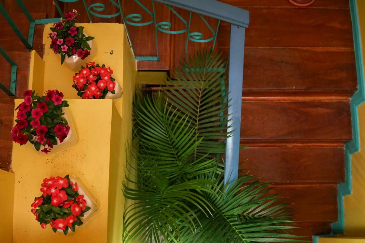 Nativus Art-Hostel San Jose  Bagian luar foto