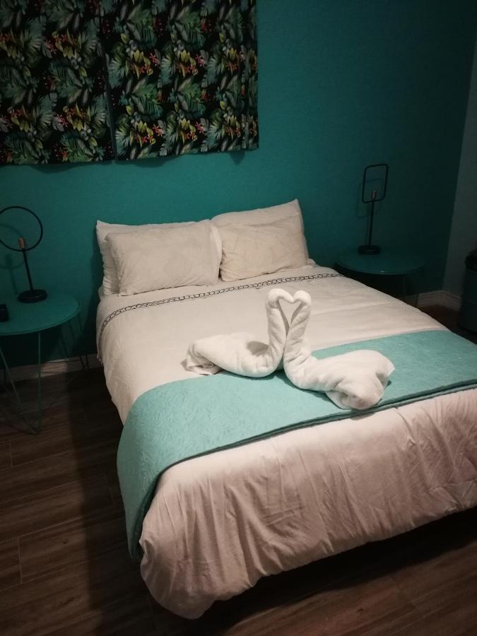Nativus Art-Hostel San Jose  Bagian luar foto