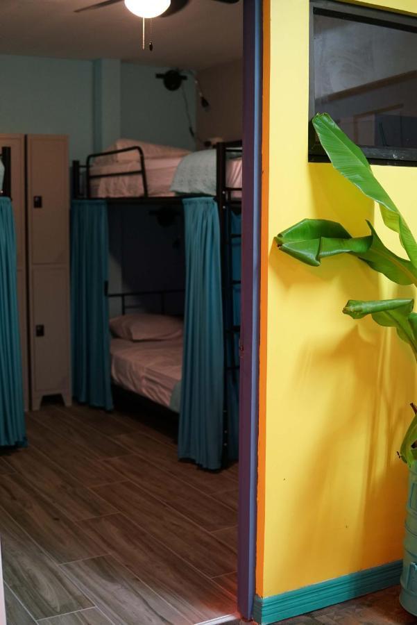 Nativus Art-Hostel San Jose  Bagian luar foto
