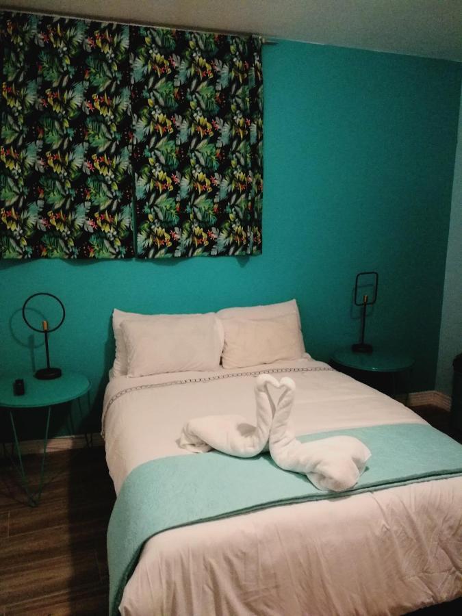 Nativus Art-Hostel San Jose  Bagian luar foto