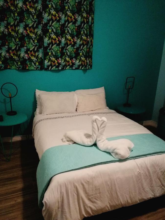 Nativus Art-Hostel San Jose  Bagian luar foto