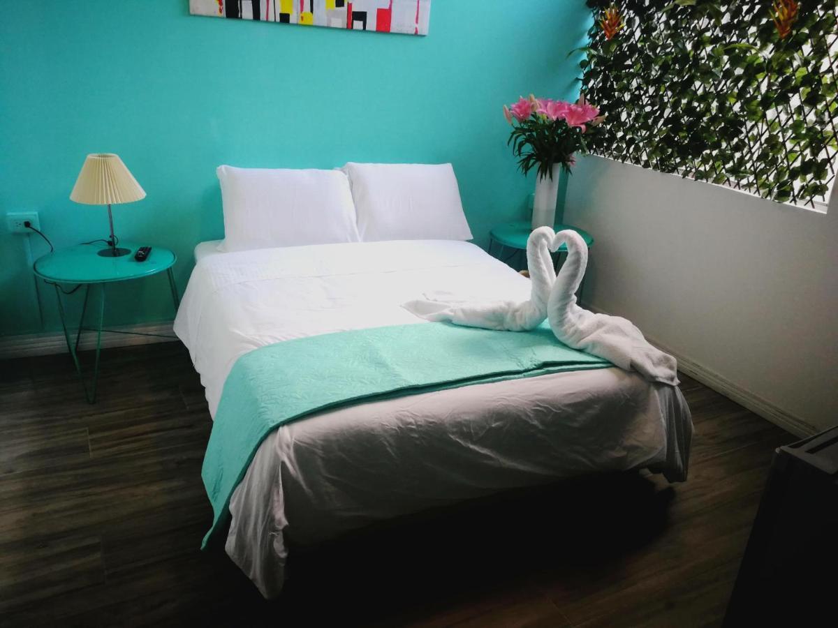 Nativus Art-Hostel San Jose  Bagian luar foto